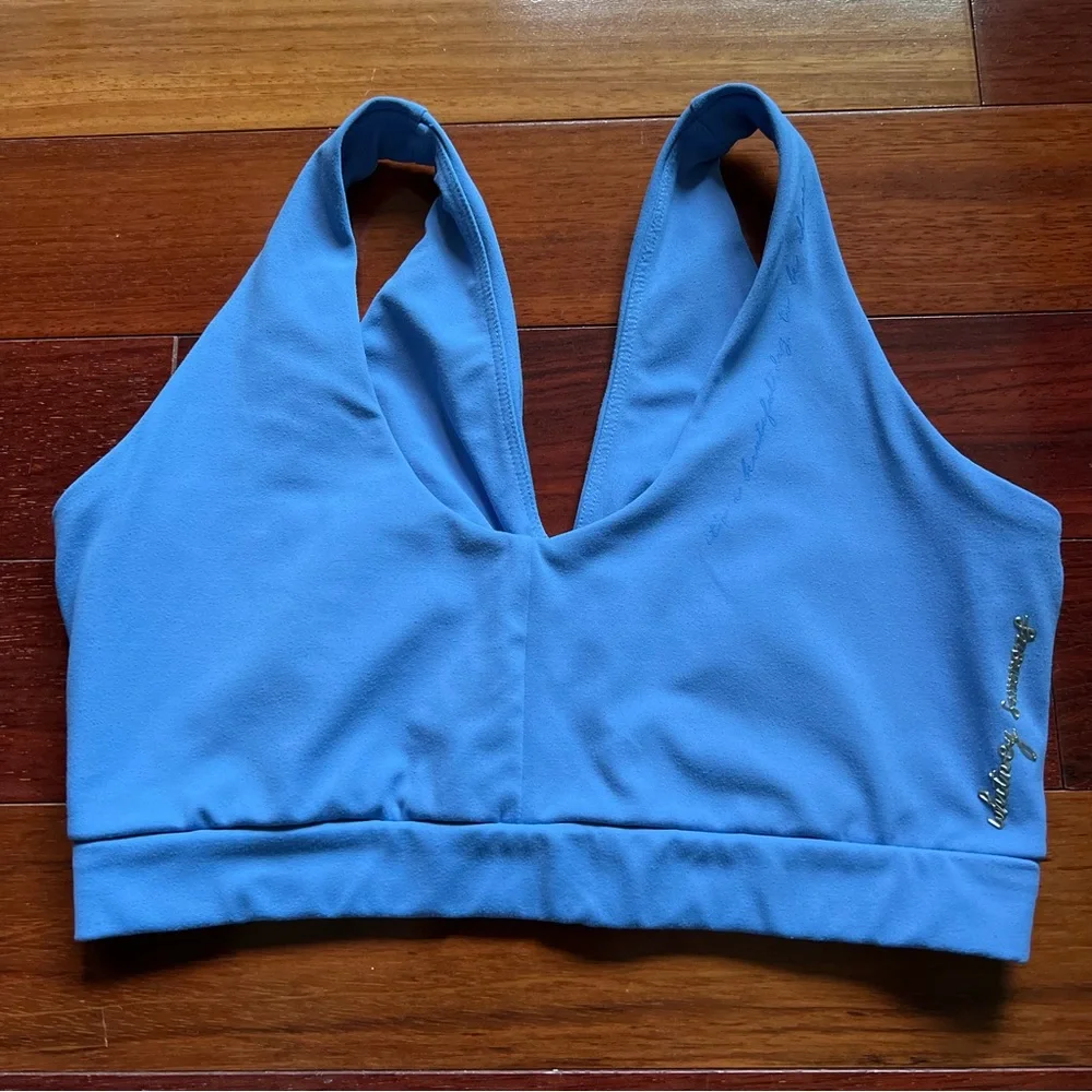 beautiful blue gymshark x whitney simmons v2 bra - Picture 1 of 4